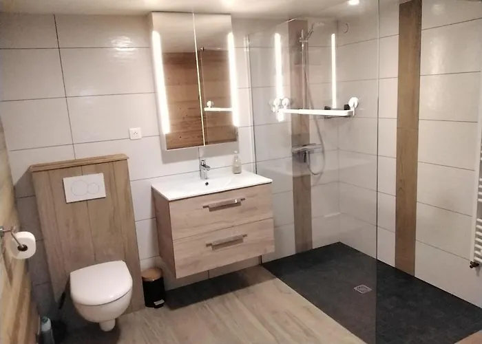 'chez Cocotte' Prázdninový dům La Bresse